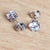 Sterling Silver Swarovski Round Earrings - Auriann